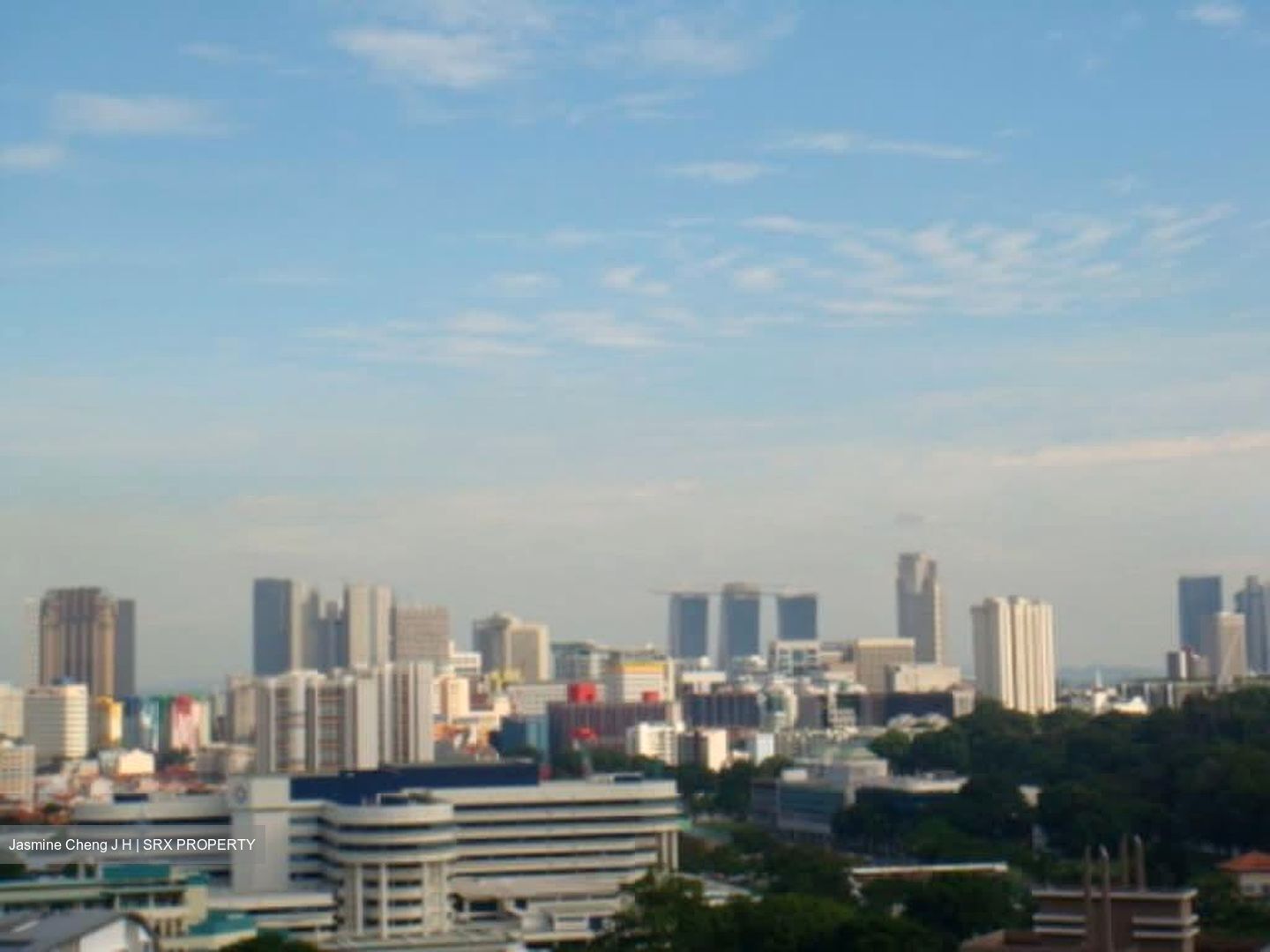 Park Infinia At Wee Nam (D11), Condominium #593611961